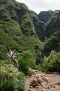 a valley with Cascata do Risco