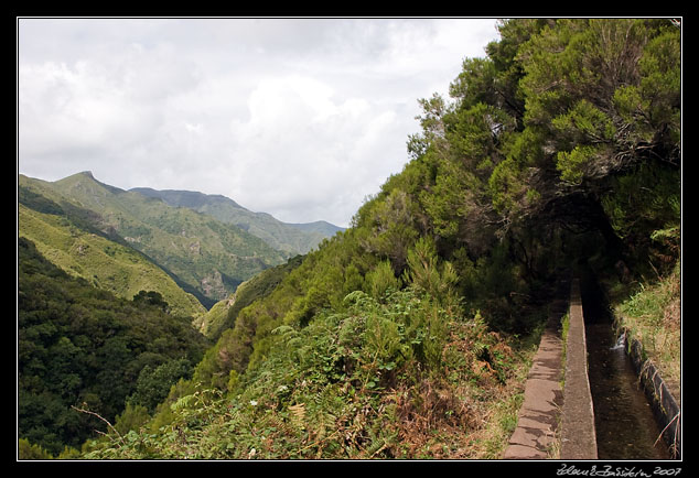 Levada das 25 Fontes