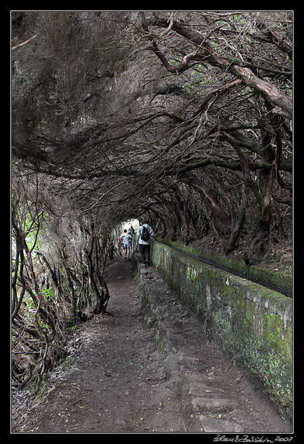 Levada das 25 Fontes