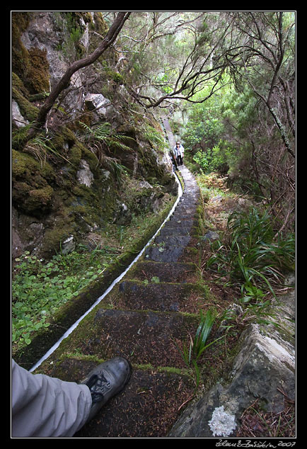 Levada da Rocha Vermelha