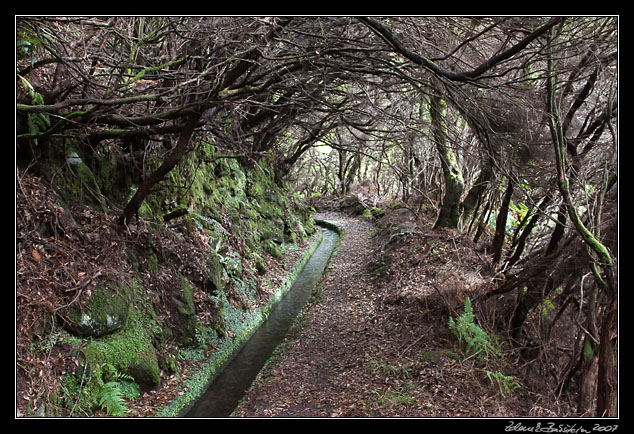 Levada da Rocha Vermelha