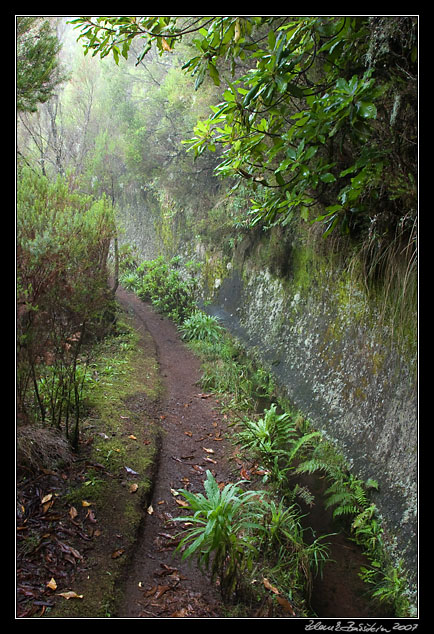 Levada da Serra