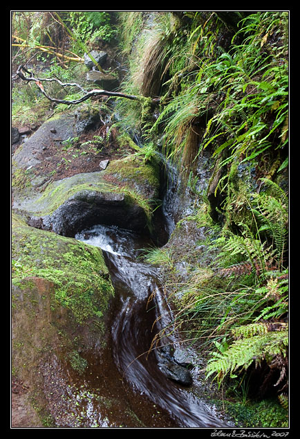 Levada da Serra