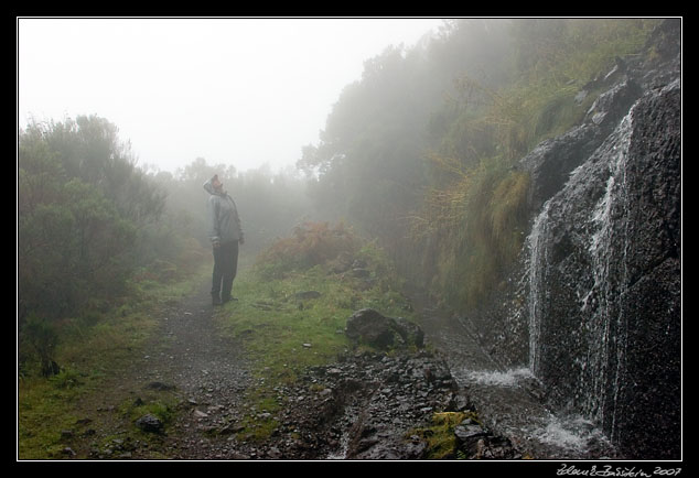 Levada da Serra