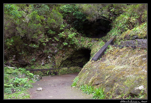 Levada do Norte