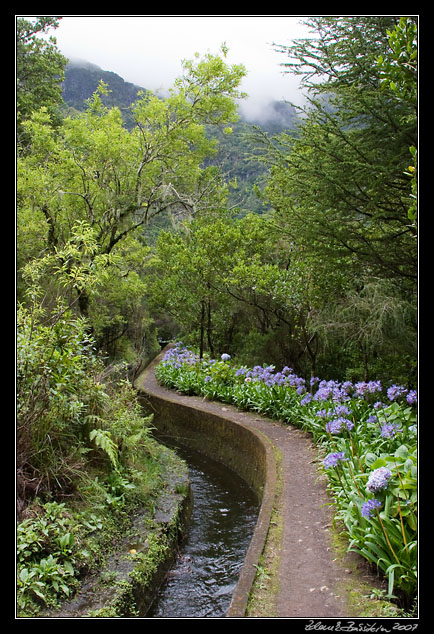 Levada do Norte - Folhadal