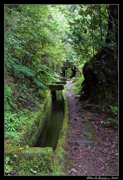 Levada do Norte - Folhadal