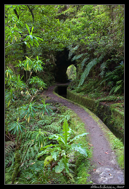 Levada do Norte - Folhadal