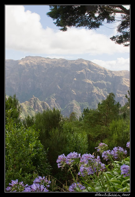 Ribeira da Serra de Agua from Levada das Rabacas