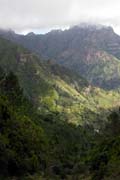 Ribeira da Serra de Agua from Levada das Rabacas