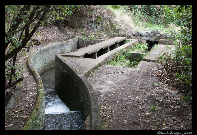 Levada Nova