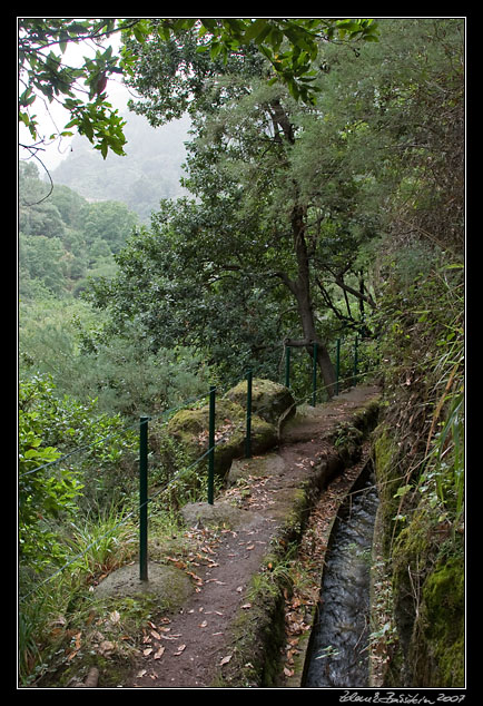 Levada do Moinho