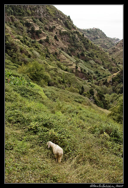 Ribeira da Ponta do Sol valley