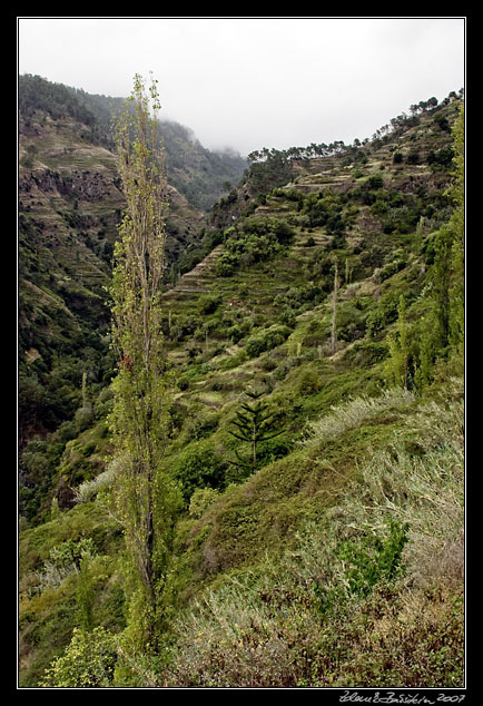 Ribeira da Ponta do Sol valley