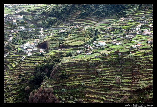 terraced countryside in Ribeira da Janela valley