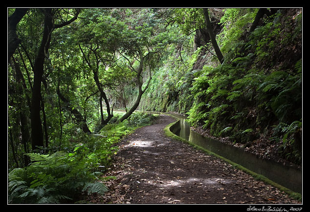 Levada da Central da Ribeira da Janela