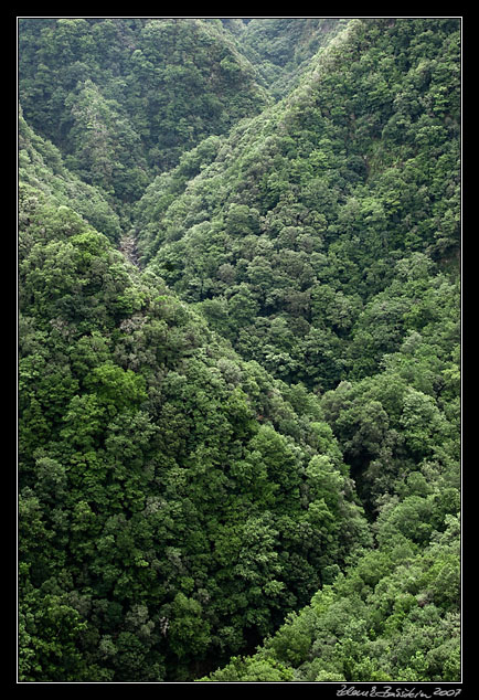 Ribeira da Janela valley