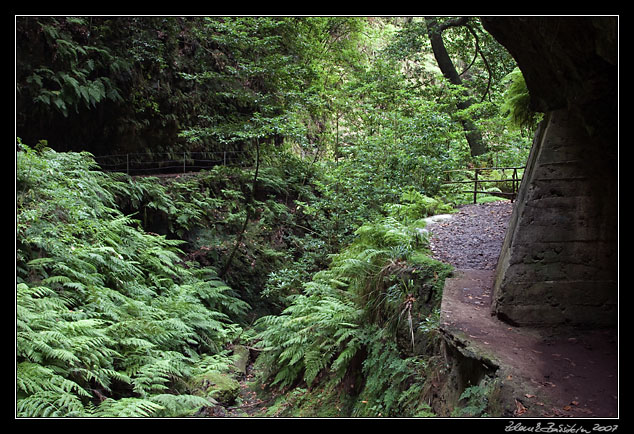 Levada da Central da Ribeira da Janela