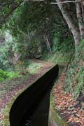 Levada da Central da Ribeira da Janela