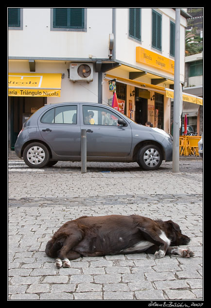 Ribeira Brava