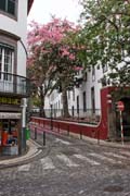 Rua Castanheiro - Funchal