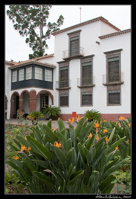 Quinta das Cruzes - Funchal