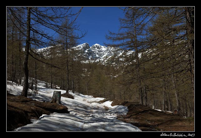 Alpes Maritimes - Vallon de Fontanalba