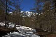 Alpes Maritimes - Vallon de Fontanalba