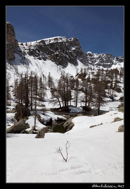 Alpes Maritimes - Vallon de Fontanalba