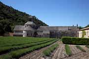 Senanque - Abbaye Notre-Dame de Snanque