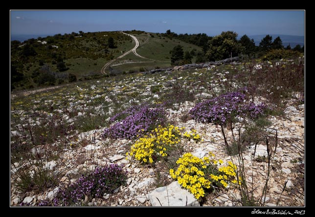 Montagne du Luberon - Mourre Negre