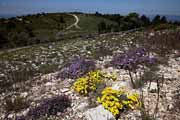 Montagne du Luberon - Mourre Negre