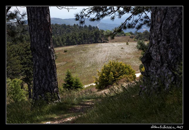 Montagne du Luberon - Mourre Negre