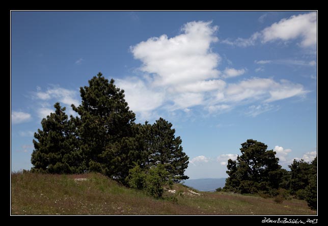 Montagne du Luberon - Mourre Negre