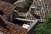 Montagne du Luberon - Bonnieux