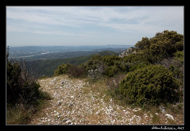 Montagne du Luberon - Massif des Cdres