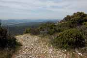 Montagne du Luberon - Massif des Cdres