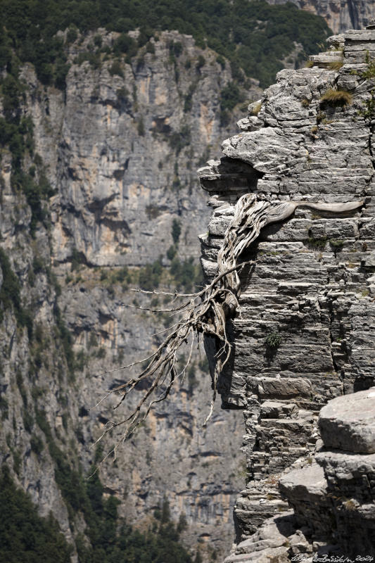 Pindos - Zagorochoria - These Mpeloe viewpoint