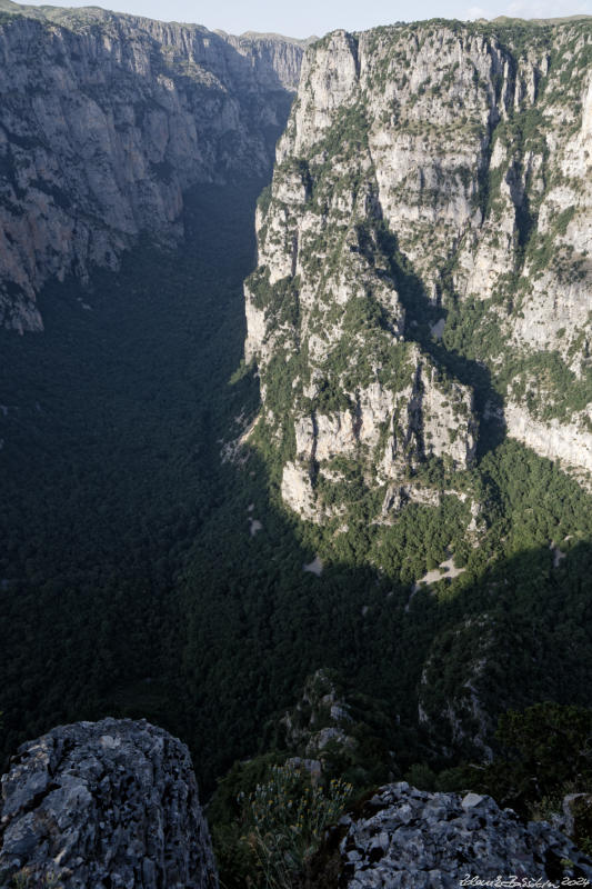 Pindos - Zagorochoria - Vikos gorge from Oxia viewpoint