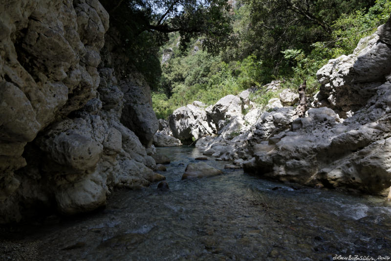 Nekromanteion, Acheron springs - Glyki - Acheron springs