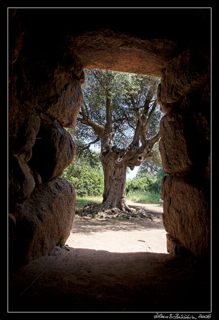 Arzachena - Nuraghe Albucciu