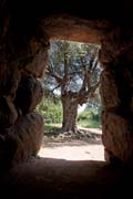 Arzachena - Nuraghe Albucciu