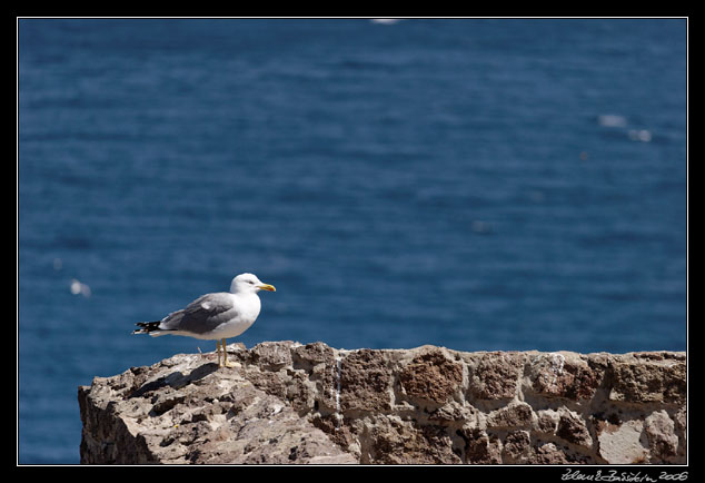 Castelsardo