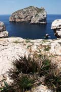 Capo Caccia - Isola Foradada