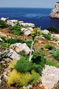 Capo Caccia -