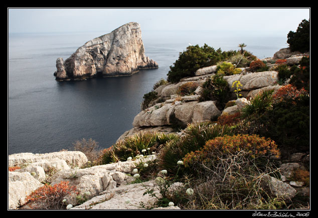 Capo Caccia - Isola Foradada