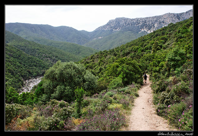 Gola di Gorropu - trail to the gorge