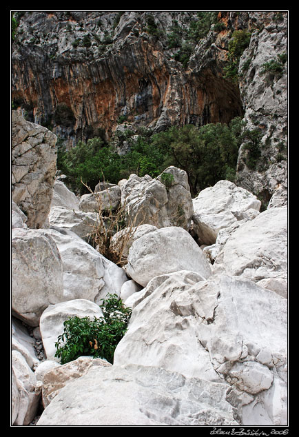 Gola di Gorropu - Gola di Gorropu