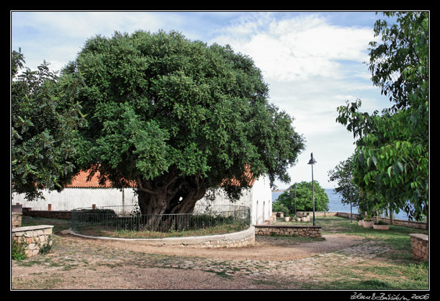 Santa Maria Navarrese - La Chiesa dell`Assunta