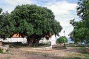 Santa Maria Navarrese - La Chiesa dell`Assunta